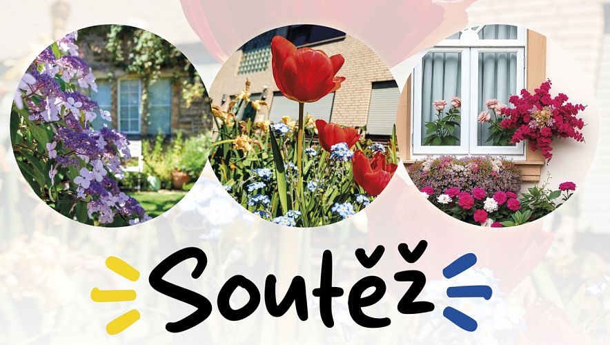 Soutěž: Rozkveťme společně Svitavy!