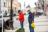 Den Země - výsadba květin na svitavském náměstí - fotogalerie