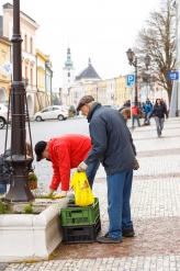 Den Země - výsadba květin na svitavském náměstí - fotogalerie