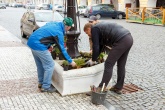 Den Země - výsadba květin na svitavském náměstí - fotogalerie