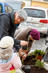 Den Země - výsadba květin na svitavském náměstí - fotogalerie