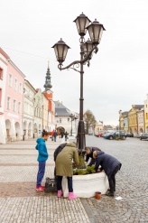 Den Země - výsadba květin na svitavském náměstí - fotogalerie