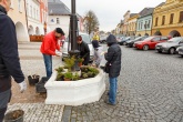 Den Země - výsadba květin na svitavském náměstí - fotogalerie